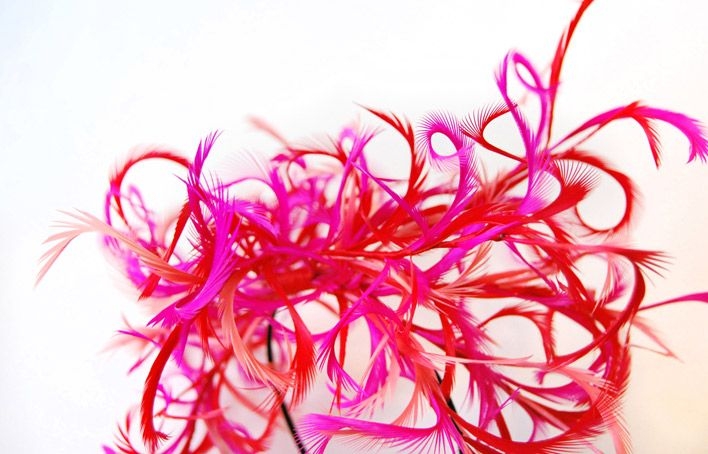 tocado tipo diadema con plumas rojas y fucsias para boda bautizo evento fiesta de taneke en apparentia